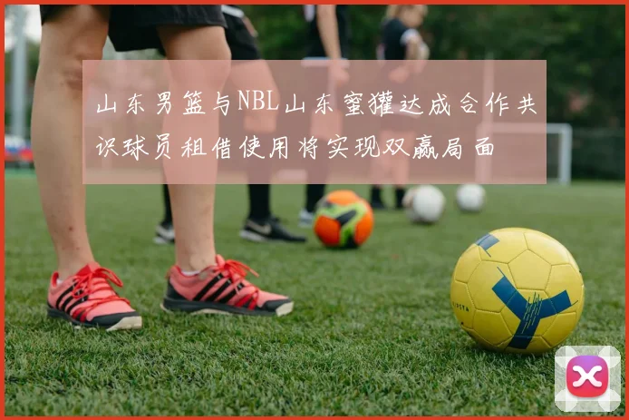 山东男篮与NBL山东蜜獾达成合作共识球员租借使用将实现双赢局面