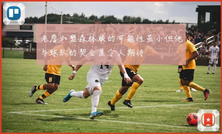 老詹加盟森林狼的可能性虽小但他与球队的契合度令人期待