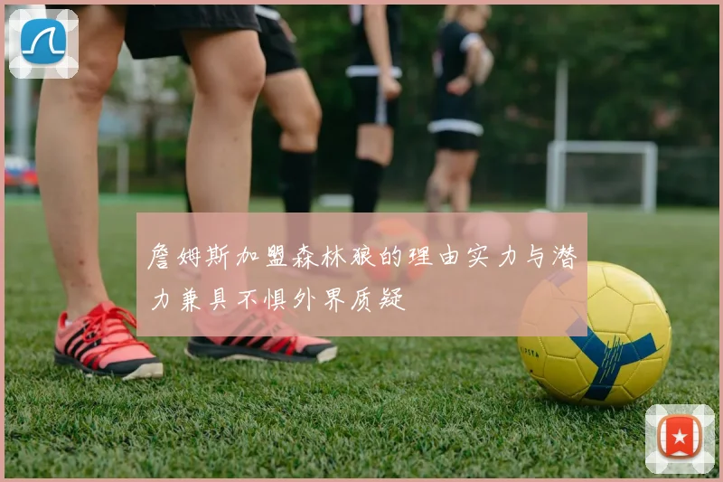 詹姆斯加盟森林狼的理由实力与潜力兼具不惧外界质疑